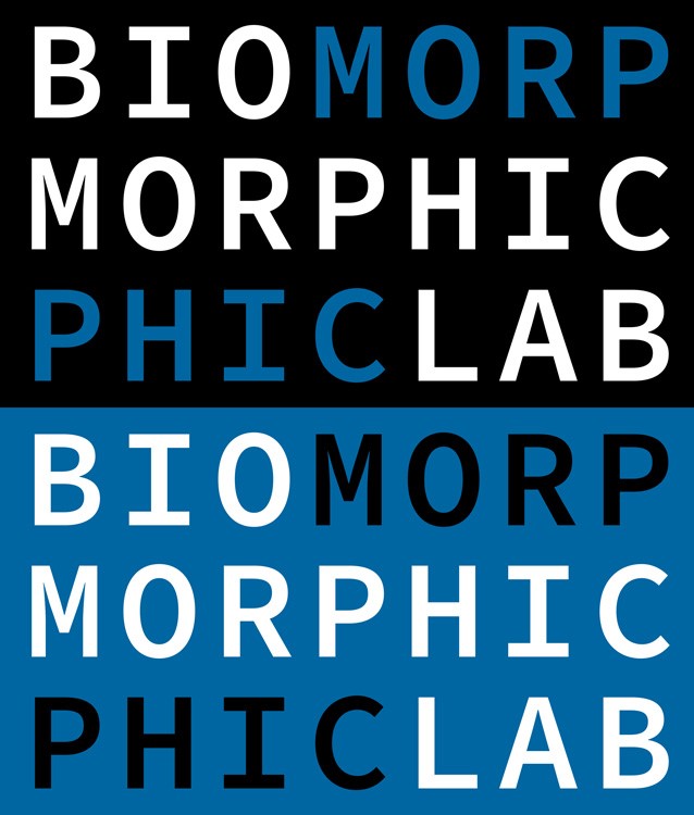 Biomorphic Intelligence Lab